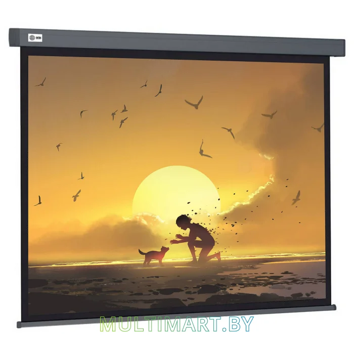 Проекционный экран CACTUS Wallscreen CS-PSW-124X221-SG